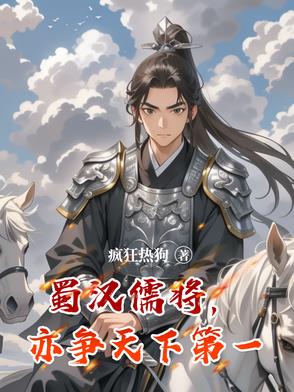 蜀汉儒将，亦争天下第一